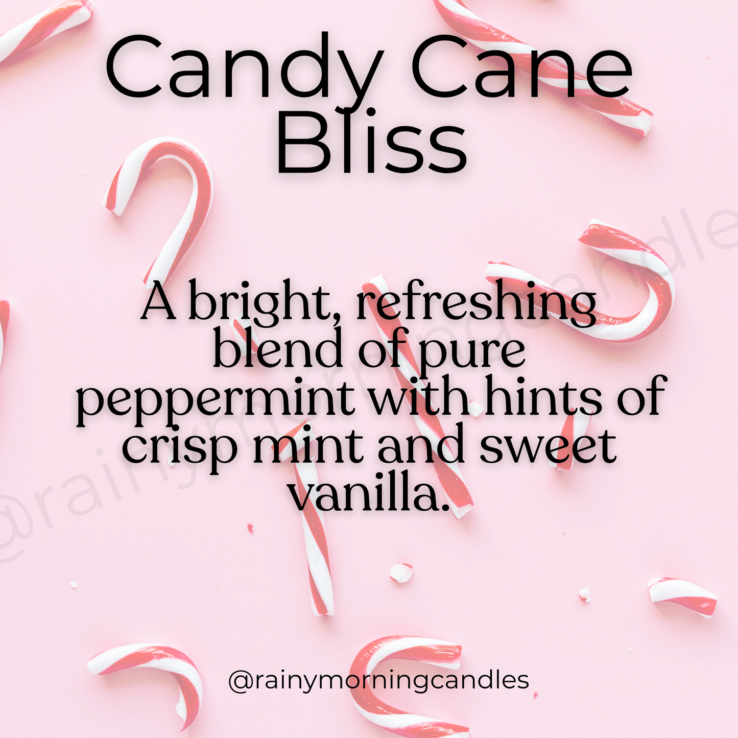 Candy Cane Bliss | Holiday Wax Melts