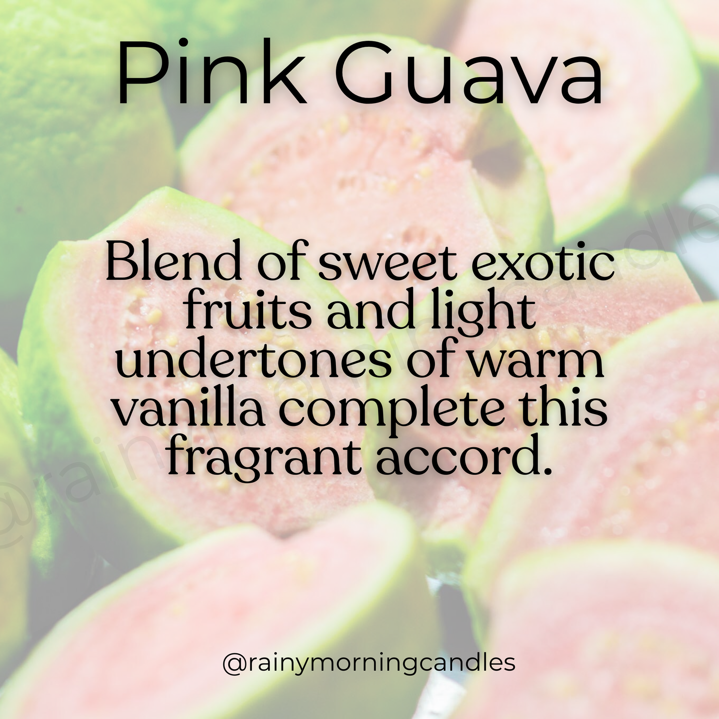 Pink Guava | Wax Melts