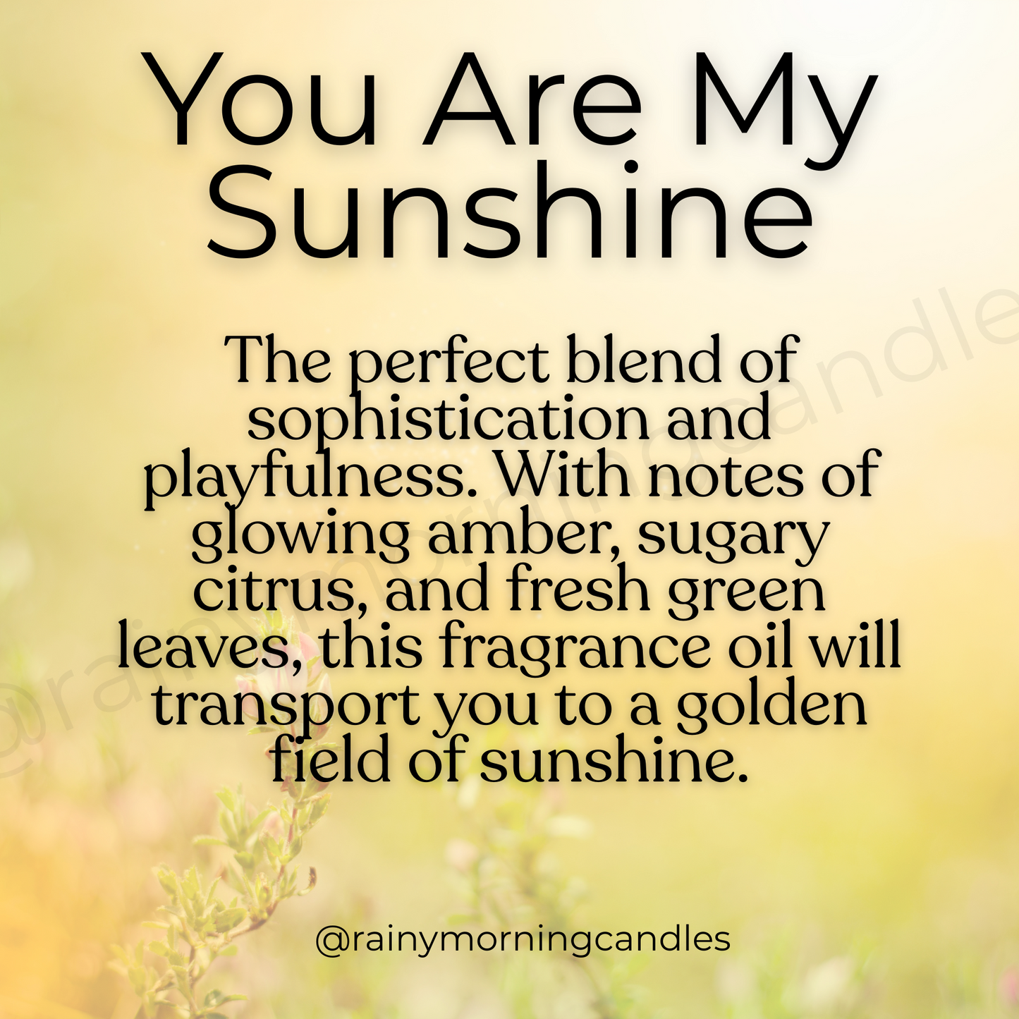 You Are My Sunshine | Citrus + Sunflower | Wax Melts