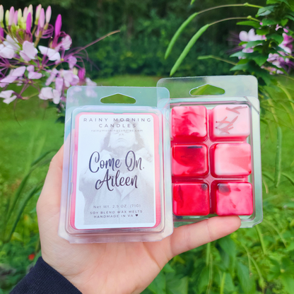 Come On, Aileen | Fall Wax Melts