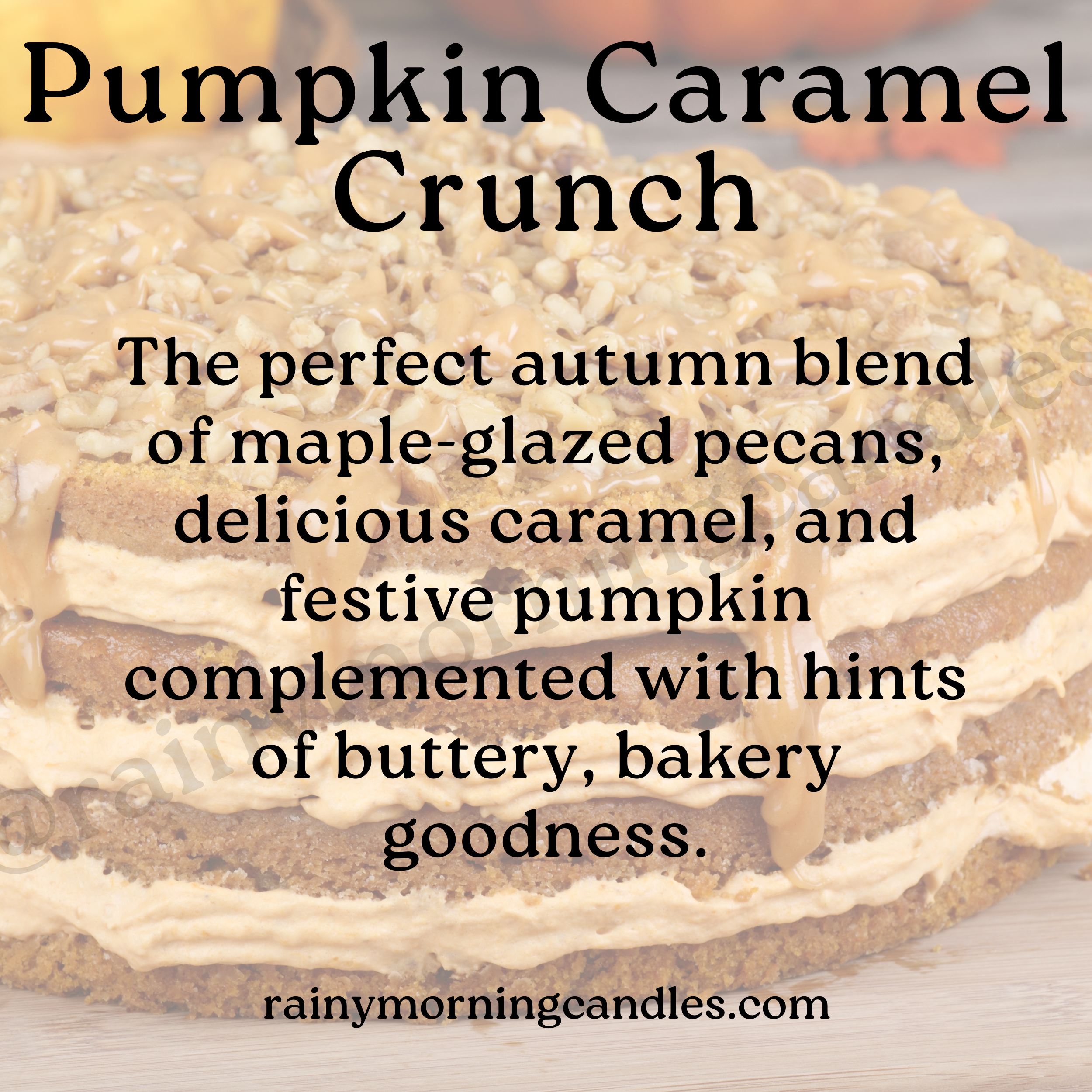 Pumpkin Caramel Crunch | Fall Wax Melts
