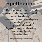 Spellbound | Fall Wax Melts