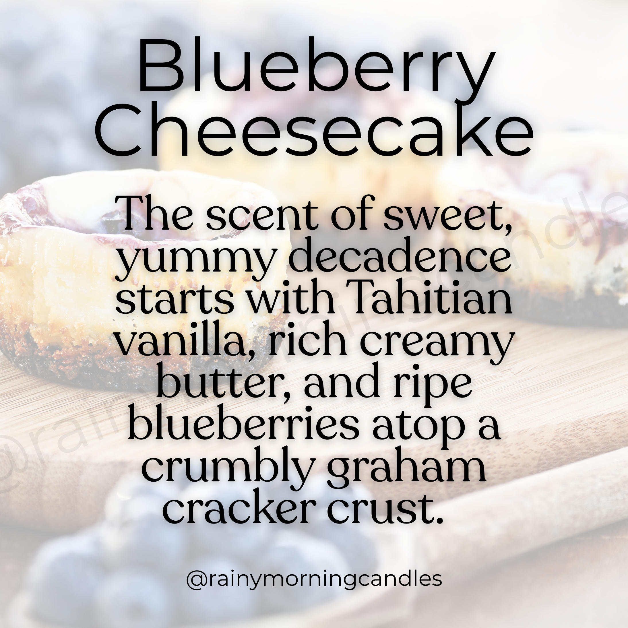 Blueberry Cheesecake | Wax Melts