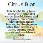 Citrus Riot | Wax Melts