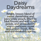 Daisy Daydreams | Wax Melts