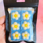 Daisy Daydreams | Wax Melts