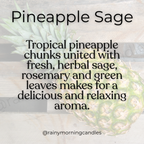 Pineapple Sage | Wax Melts