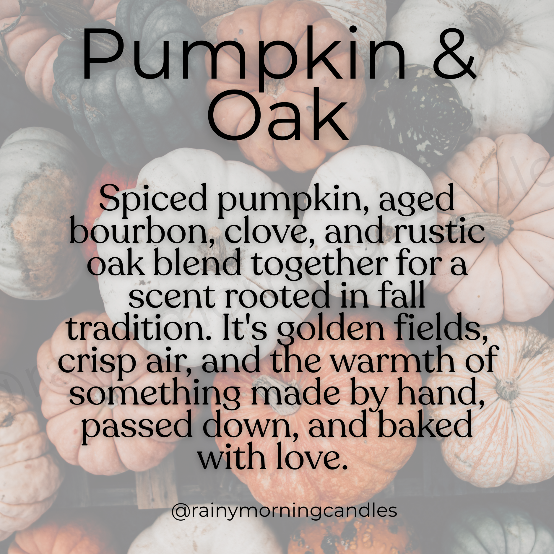 Pumpkin + Oak | Fall Wax Melts