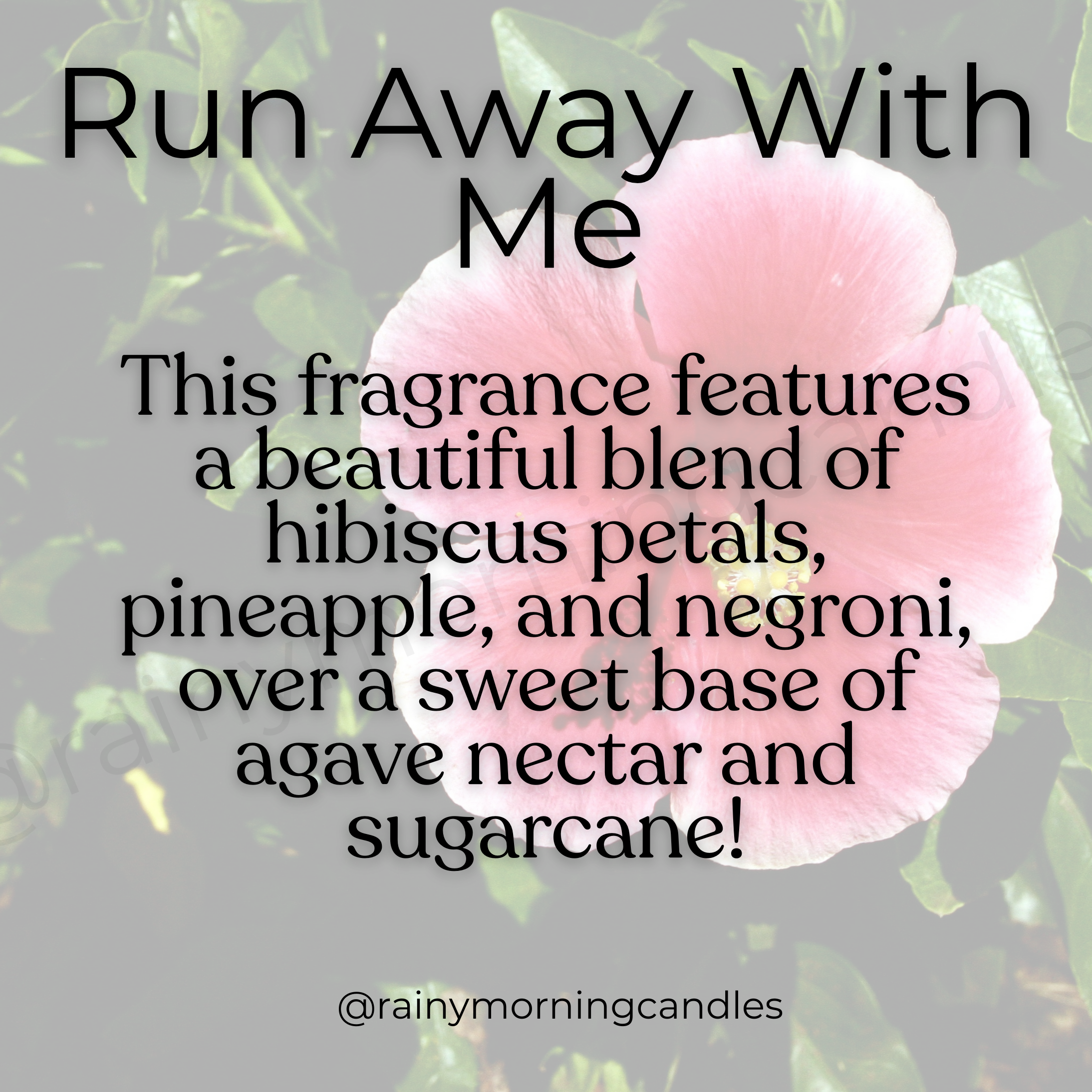 Run Away With Me | Tropical Getaway Inspired | Wax Melts