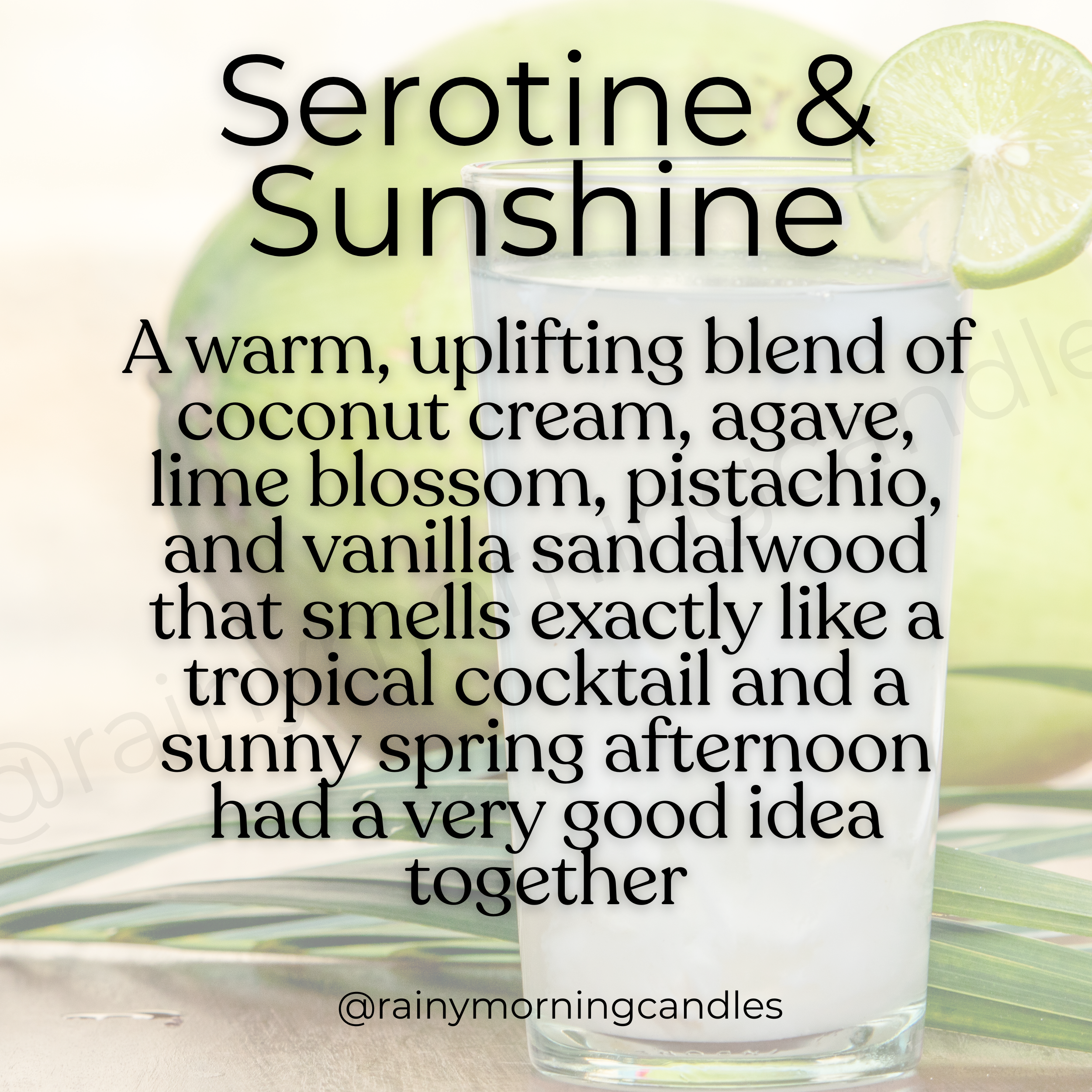 Serotine & Sunshine | Coconut Rum & Lime | Wax Melts