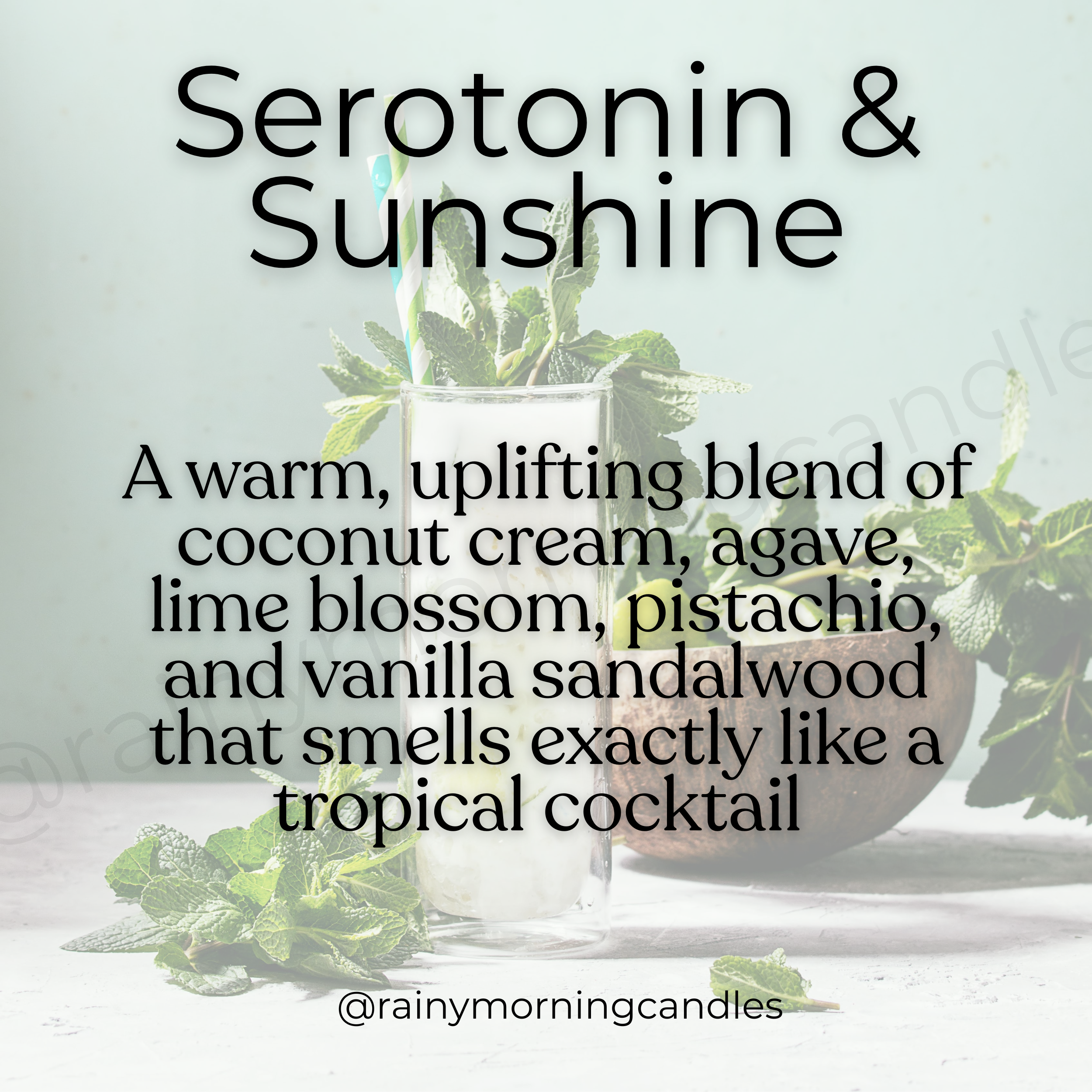 Serotonin & Sunshine | Coconut Rum & Lime | Wax Melts