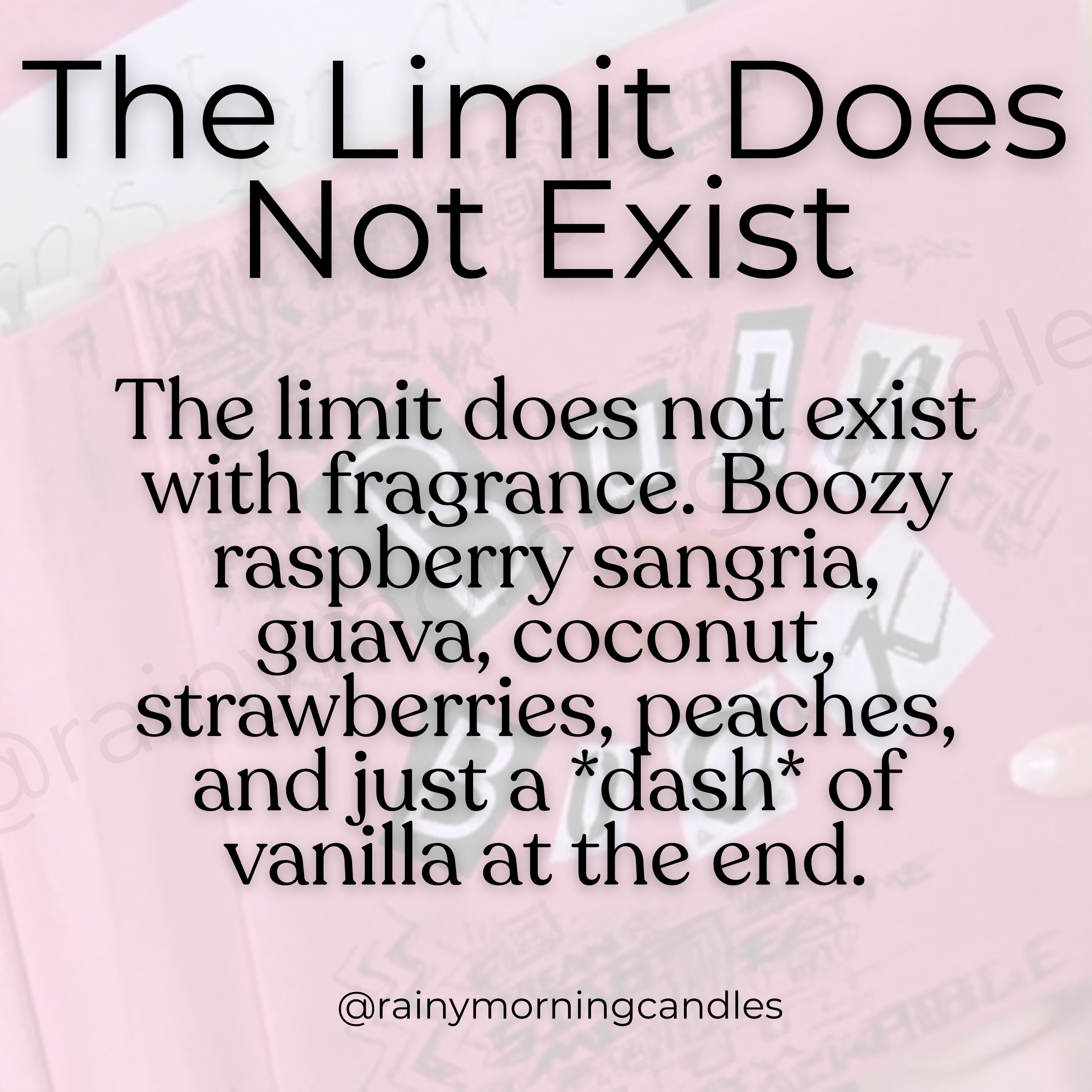 The Limit Does Not Exist | Mean Girls Inspired Wax Melts