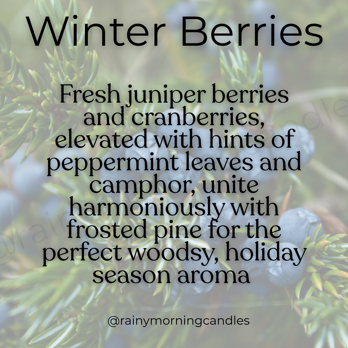 Winter Berries | Holiday Wax Melts