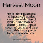 Harvest Moon | Fall Wax Melts