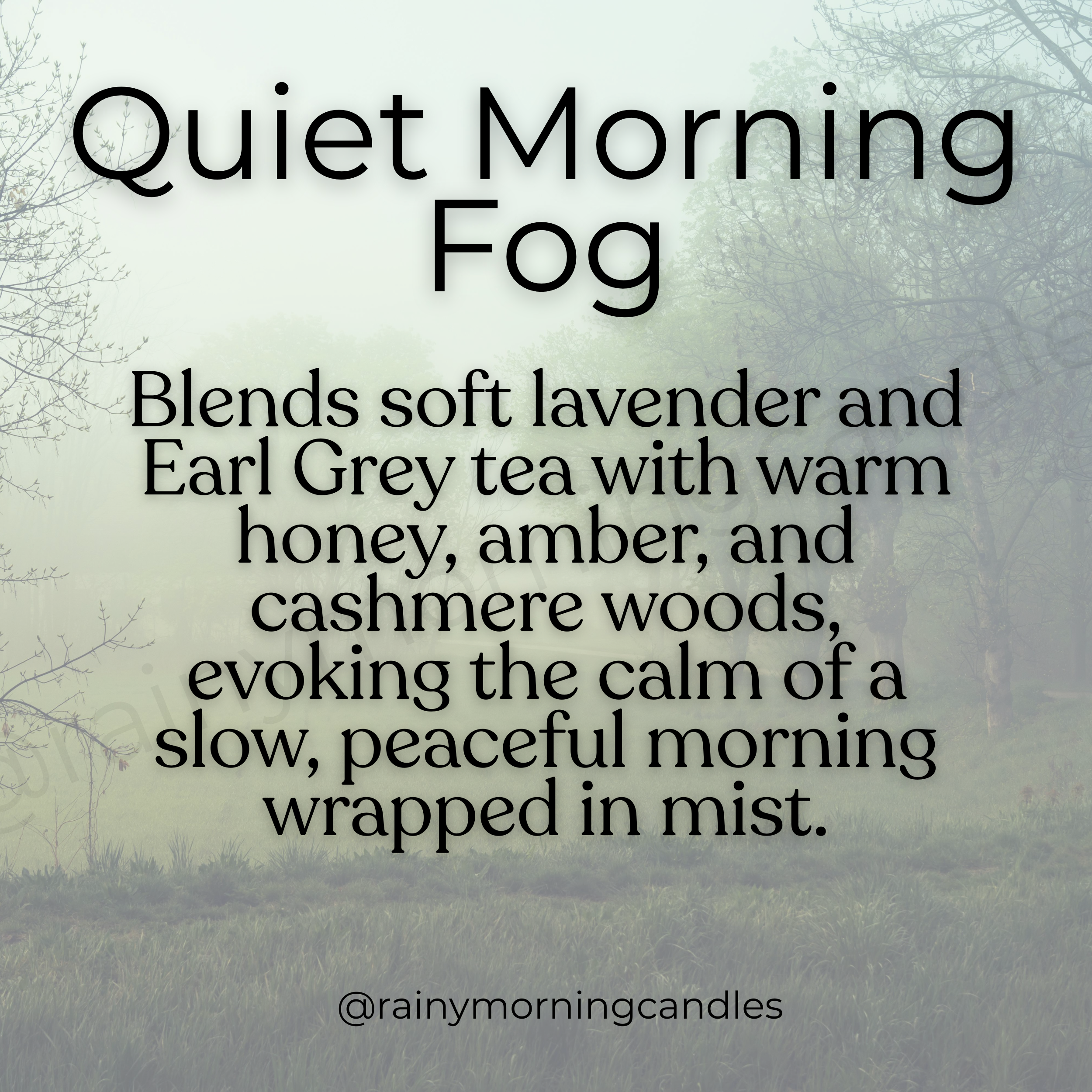 Quiet Morning Fog | Honey Lavender Tea | Wax Melts