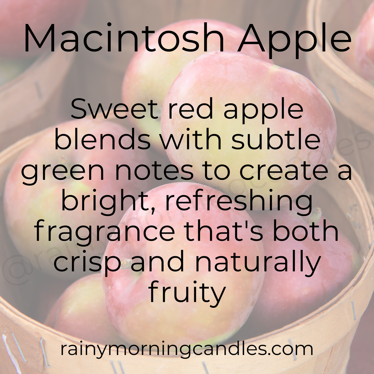 Macintosh Apple | Wax Melts
