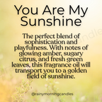 You Are My Sunshine | Citrus + Sunflower | Wax Melts