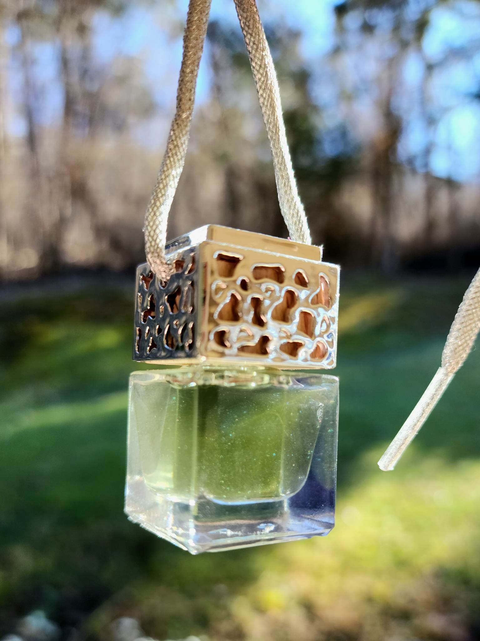 Car Freshener Diffuser | Choose Your Scent